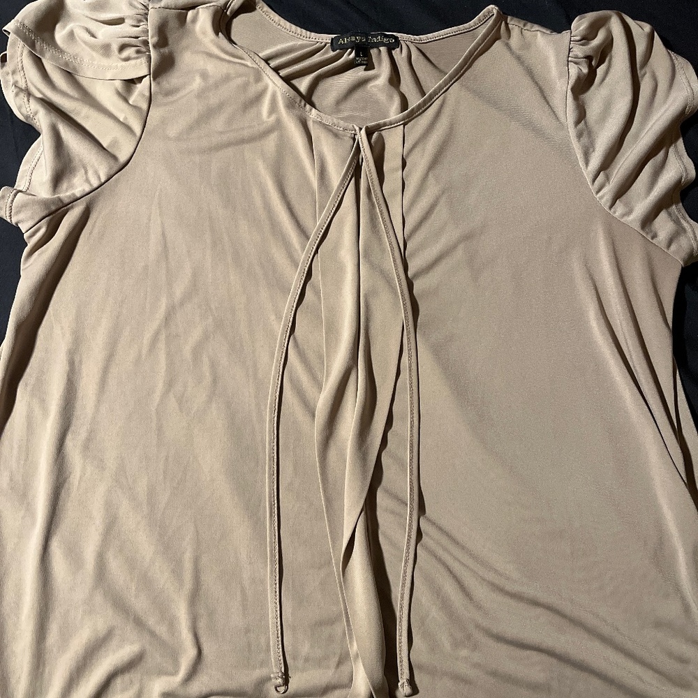 Tan Blouse